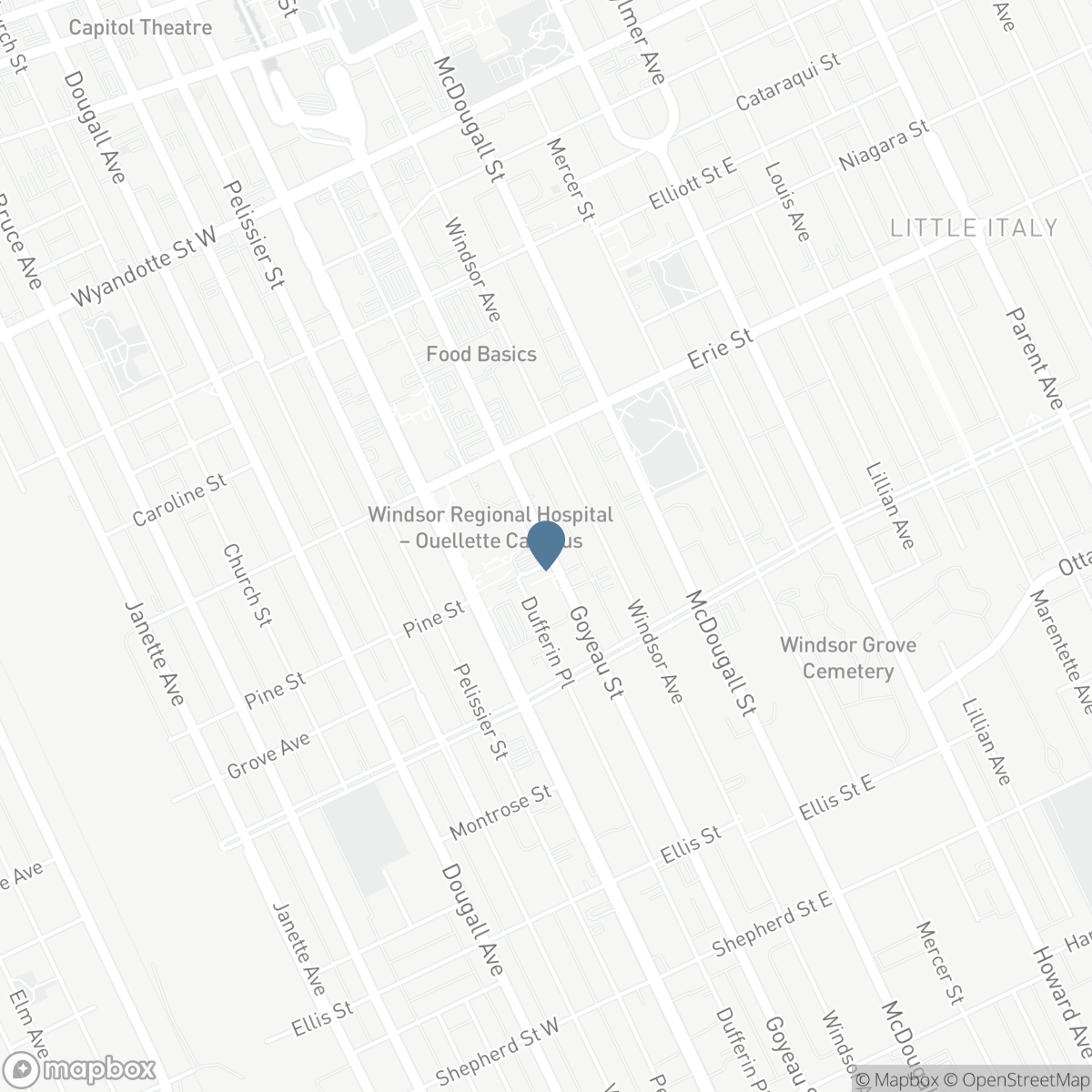 V/L GOYEAU STREET, Windsor, Ontario N9A 1E1